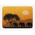 thumbnail image 1 of Bath Mat Typical African Wilderness with Endemic Animals Indoor Outdoor Doormat Durable Front Door Mats Entryway Rugs Non-Slip Floor Mat Entrance Rugs Bath Rug Kitchen Rugs 24 x 36 in, 1 of 5