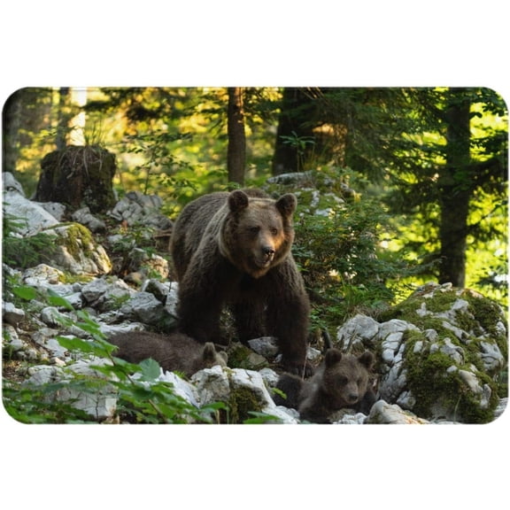 Bath Rugs Black Bear in Nature Door Mat Spring Forest Tall Trees Wild Animal Creative Print Doormat Non Slip Absorbent Bathroom Rug Carpet for Home Entrance Kitchen 16x24 Inch