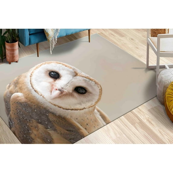 Bath Rugs, Customs Rug, Owl Lover Gift Rugs, Office Decor Rugs, Owl Rug, Saloon Rug, Animal Rug, Contemporary Rug, Decorative Rugs, 2.6'x9.2' - 80x280 cm