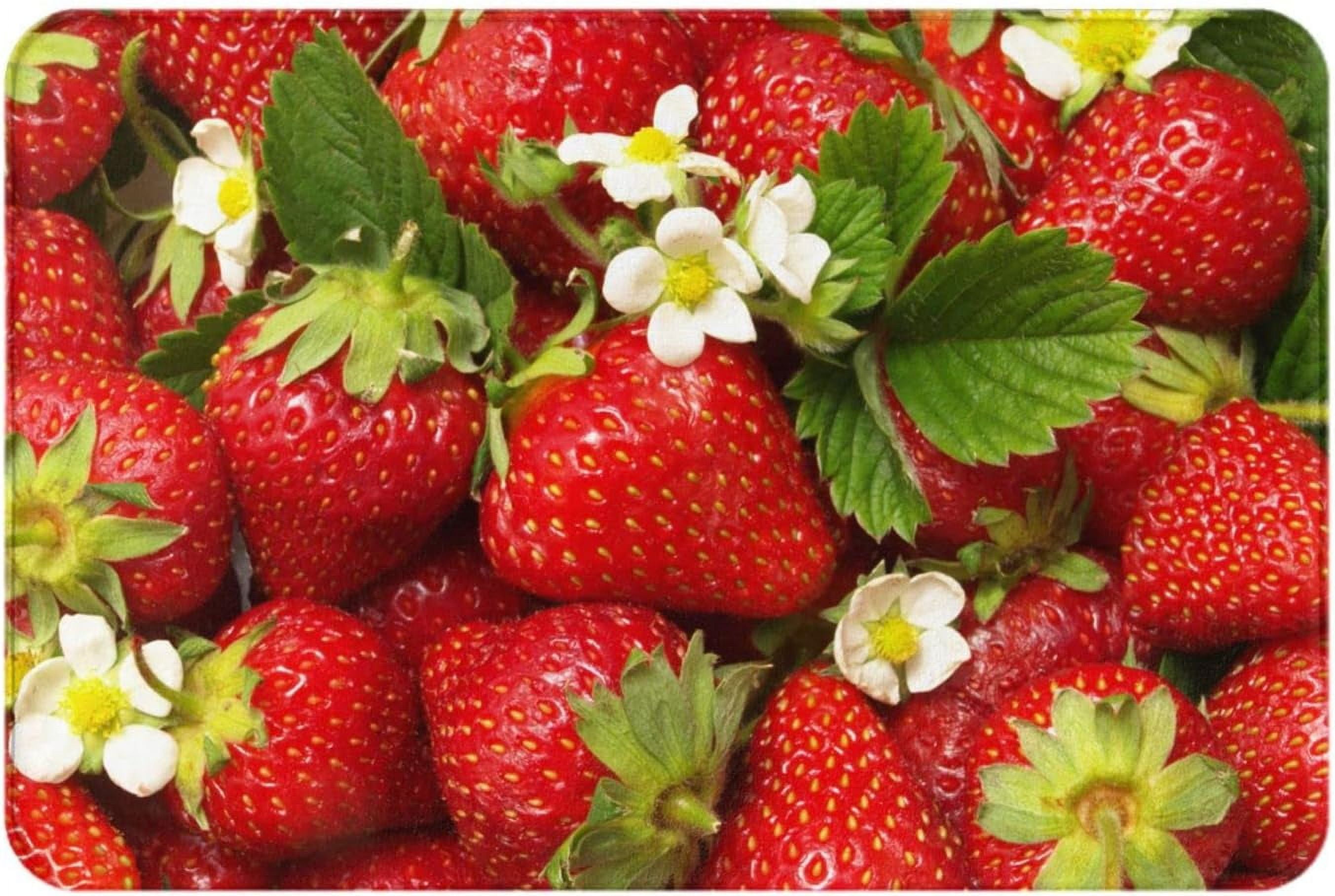 Bath Rugs Red Strawberry with Green Leaves Door Mat Outdoor Fresh