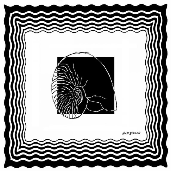 Bath Shells Square I Poster Print by Nicholas Biscardi