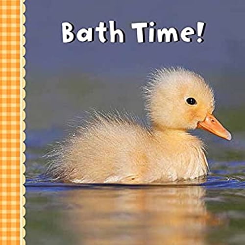 Pre-Owned Bath Time! (Board Book) 9781454926658