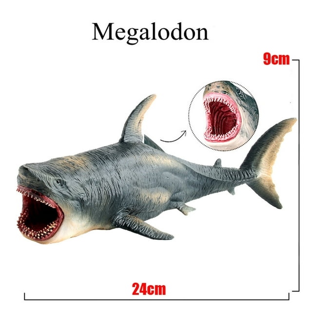 Bath Toys for Kids Ages 1-3 Educational Toys Toys & Games Megalodon