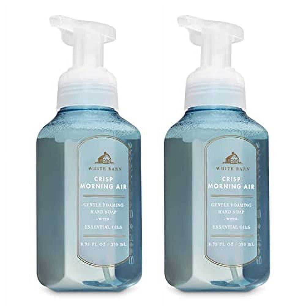 Bath and Body Works 2 Pack Crisp Morning Air Gentle Foaming Hand Soap
