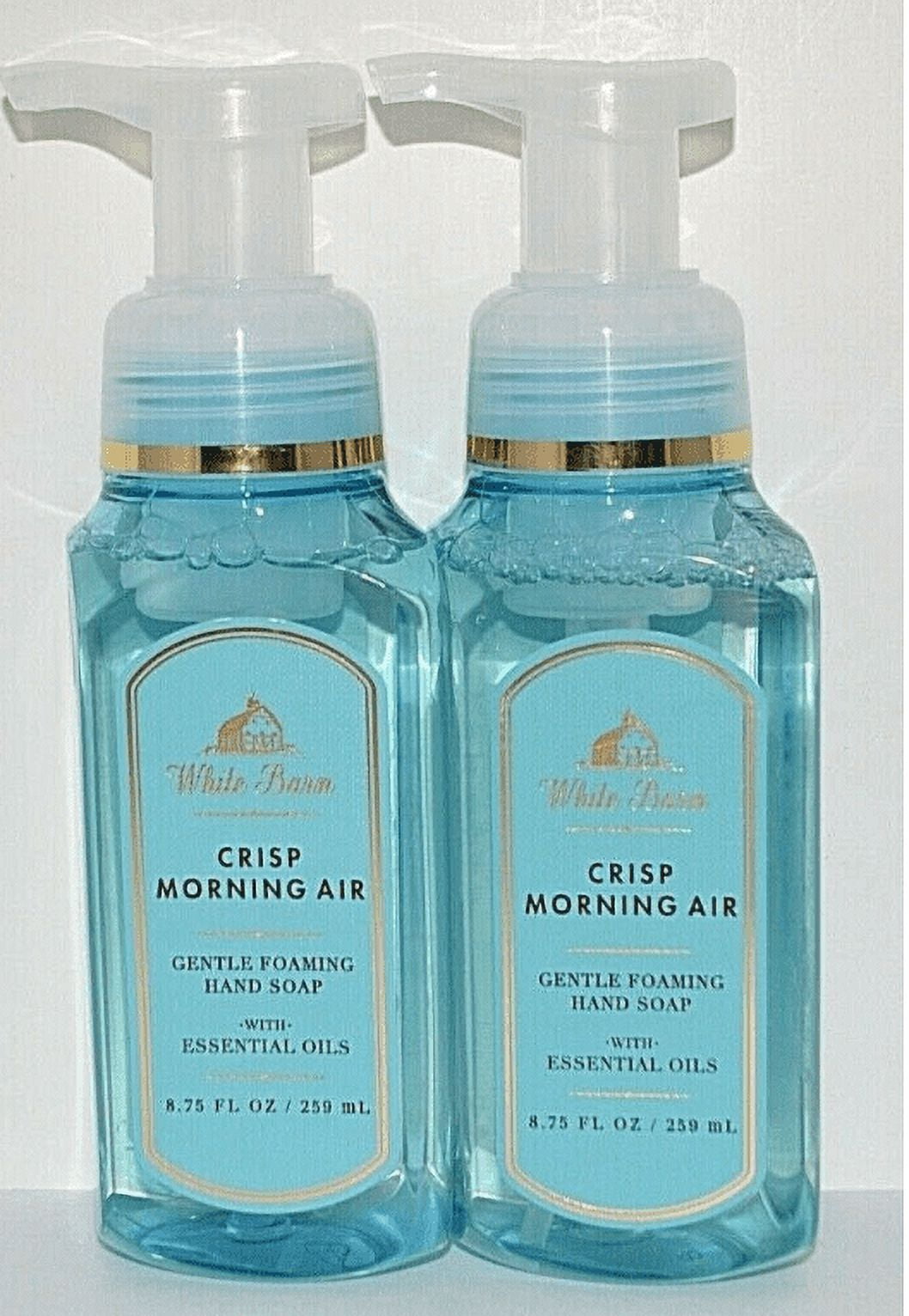 Bath and Body Works Crisp Morning Air Gentle Foaming Hand pack of