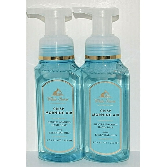 Bath and Body Works Crisp Morning Air Gentle Foaming Hand pack of 2 8.75 oz Each