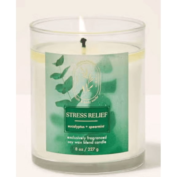 Bath and Body Works Eucalyptus Spearmint Scented 1-Wick Candle