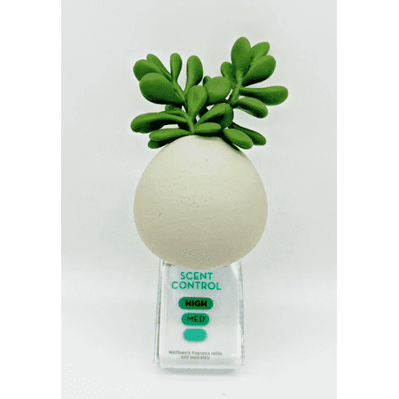 Bath and Body Works Wallflower Plugin Air Freshener, Succulent