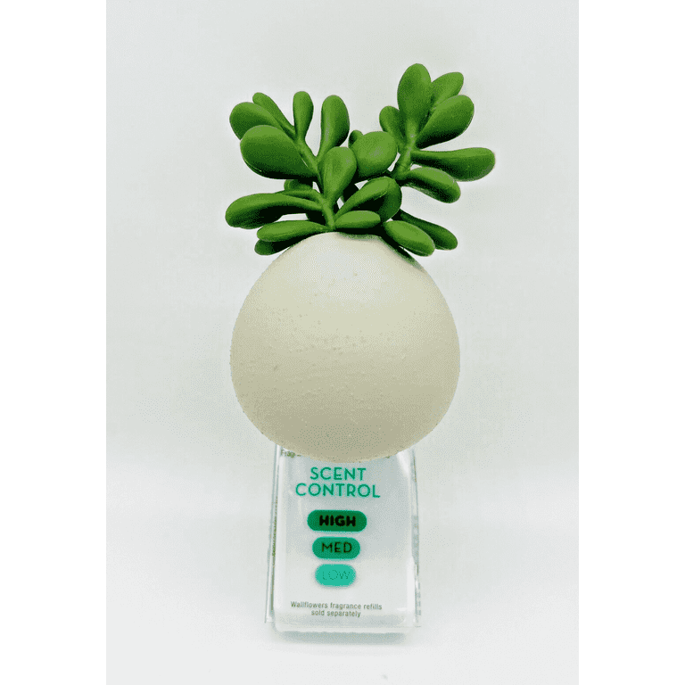 Bath Body Works Succulent Planter Wallflower Plugin with Scent