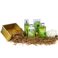 thumbnail image 1 of Bath and Body Works White Citrus Gold Woven Basket Deluxe Gift Set + A Free Shower Sponge, 1 of 6