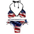 Bathing Suit for Women,Women's Bikini Swimsuits,Bikini Set,L,American