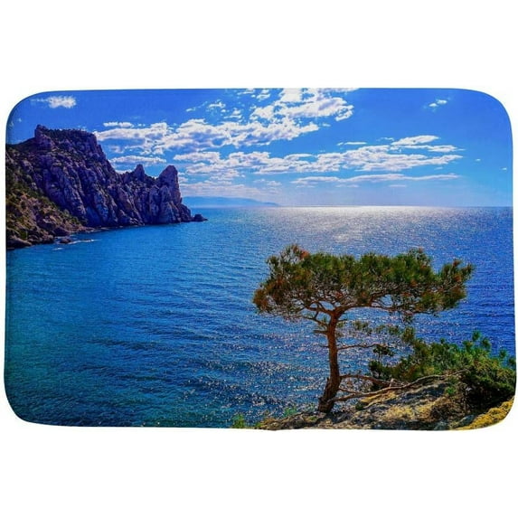 Bathroom Mat Door Rugs Floor Mat Bathroom Carpet Super Cozy Mountain Sea Bay Print Decorative Indoor Outdoor 31 x 20 inch Carpet Runner