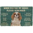 Bathroom Mat Quick Dry Please Remember Cavalier King Charles Spaniel