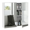 thumbnail image 1 of Bathroom Mirrored Cabinet, Wall-Mounted Storage for Vanity, 1 of 9