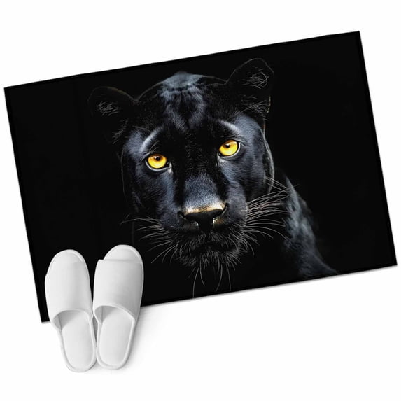Bathroom Rug Washable 2x3 Entryway Rug Non Slip Front Door Mat Low Pile Indoor Doormat Throw Floor Carpet for Kitchen Bedroom Entrance