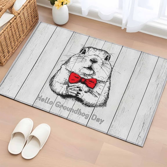 Bathroom Rugs 2x3 Ft, Groundhog Day Non Slip Area Rugs for Kitchen Bedroom Entryway, Red Bow Knot Vintage Washable Carpet Runner Rug Floor Mats for Bedroom Home Decor
