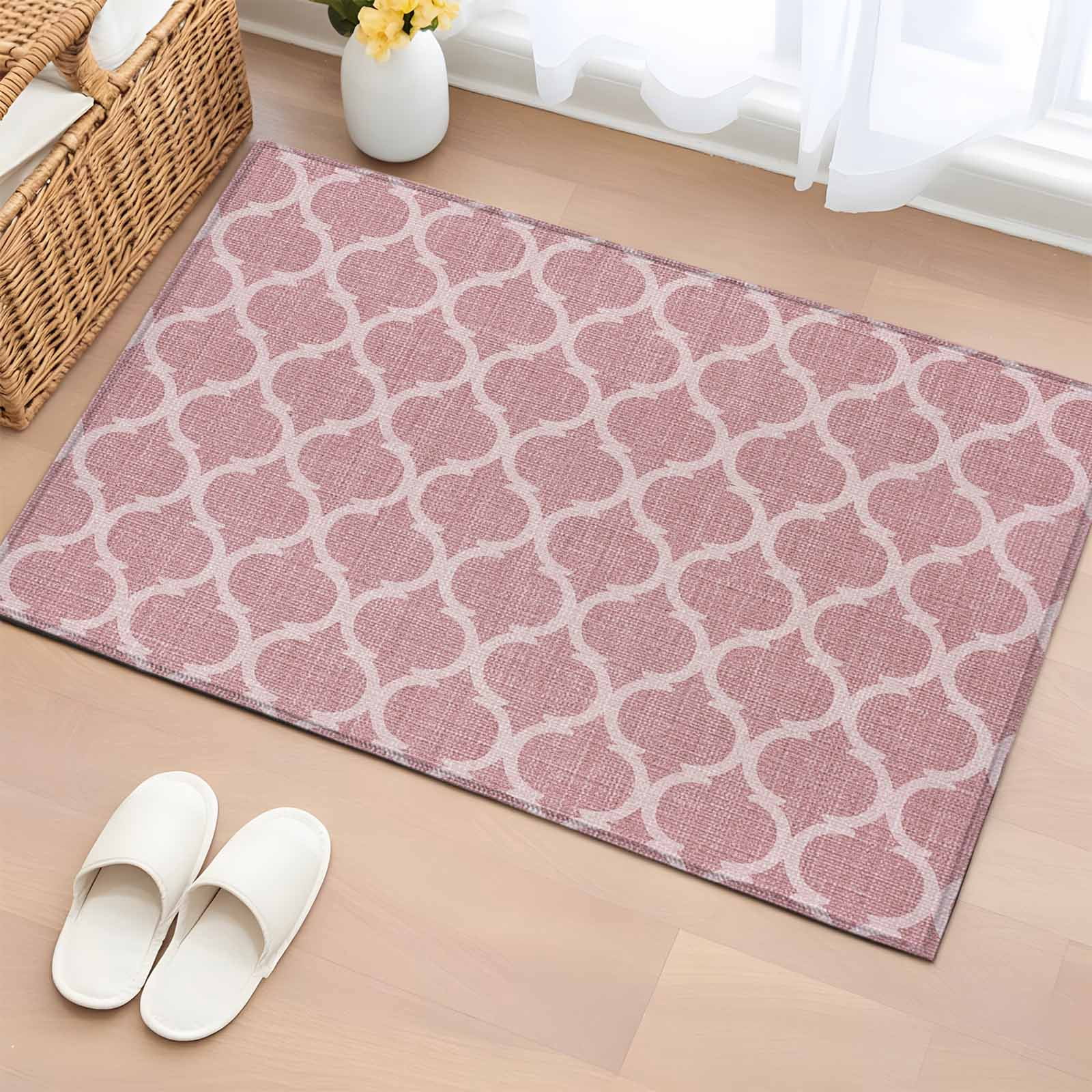 Aethics Rugs Bathroom Rugs 2x3 Ft, Pink Non Slip Area Rugs for Kitchen Bedroom ...