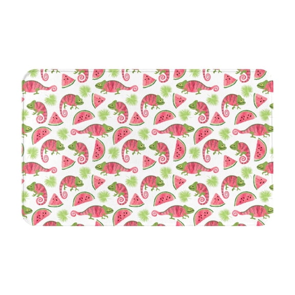 Bathroom Rugs Non Slip Washable - Cute Chameleon Watermelon Kitchen Mats for Floor, Area Rugs for Entryway Rugs Indoor, Laundry Bathroom Room Door Rug with Rubber Backing 20x31.5in