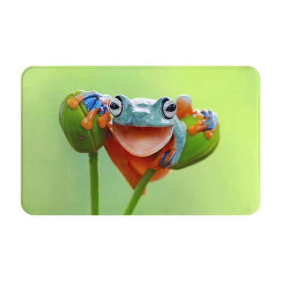 Bathroom Rugs Non Slip Washable - Flying Frog On Branch Kitchen Mats for Floor, Area Rugs for Entryway Rugs Indoor, Laundry Bathroom Room Door Rug with Rubber Backing 20x31.5in
