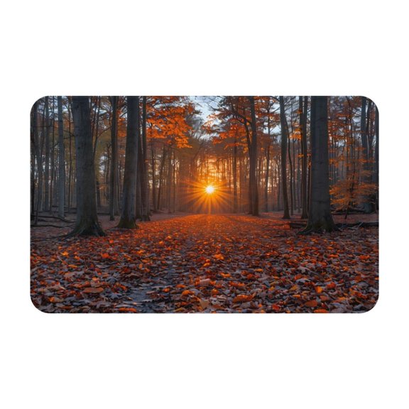Bathroom Rugs Non Slip Washable - Golden Forest Sunset Walk Kitchen Mats for Floor, Area Rugs for Entryway Rugs Indoor, Laundry Bathroom Room Door Rug with Rubber Backing 20x31.5in