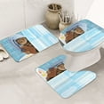 Bathroom Rugs Sets 3 Piece, Funny Cat Taking a Bath Soft Bath Mats for