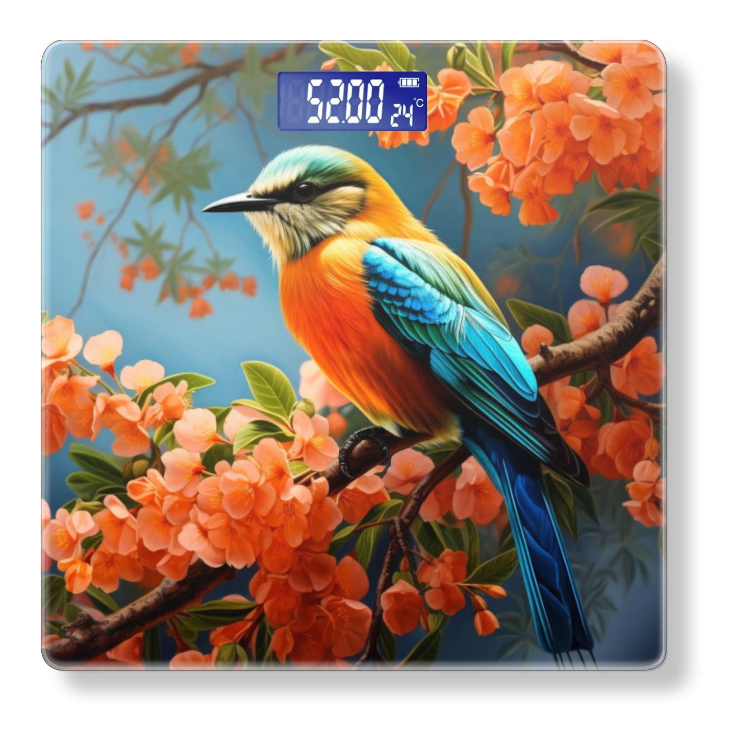 Bathroom Scale, Highly Accurate Digital Body Scale,Precisely Measures Weight up to 400 lbs-Beautiful Bird With Vibrant Feathers Perched On Orange Tree Branch