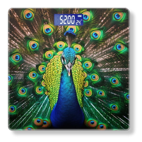 Bathroom Scale, Highly Accurate Digital Body Scale,Precisely Measures Weight up to 400 lbs-Majestic Peacock Displaying Feathers Of Green And Blue Showing