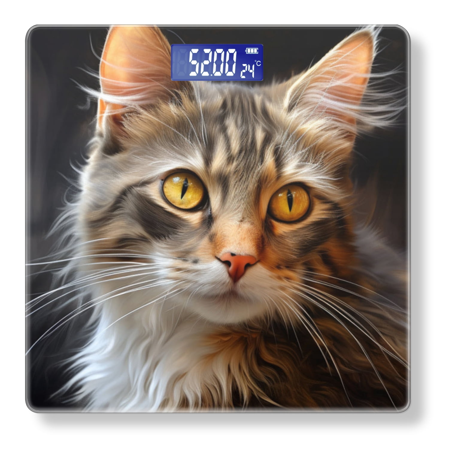 Bathroom Scale, Highly Accurate Digital Body Scale,Precisely Measures Weight up to 400 lbs-Beautiful Fluffy Cat With Yellow Eyes