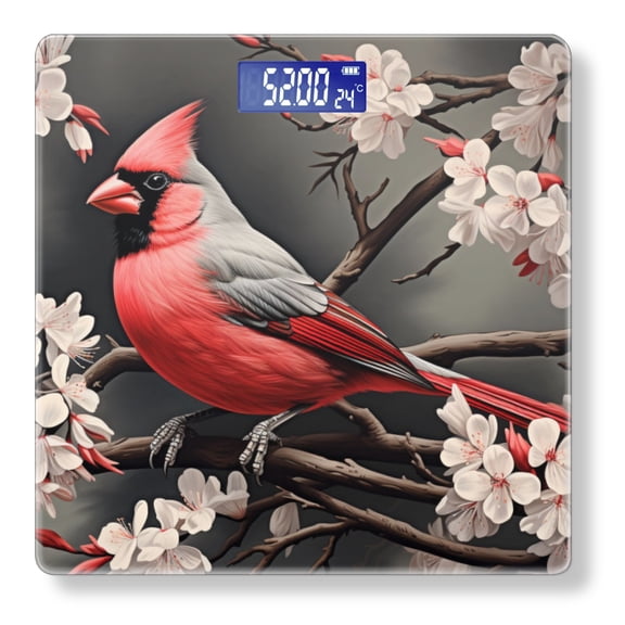 Bathroom Scale, Highly Accurate Digital Body Scale,Precisely Measures Weight up to 400 lbs-Beautiful Red Male Cardinal Perched On Cherry Blossom Tree