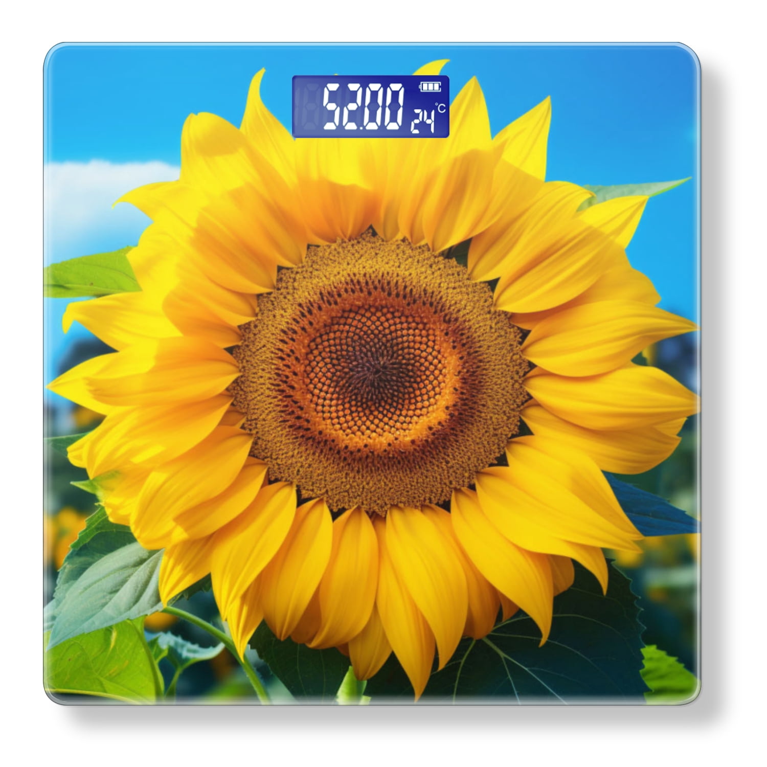 Bathroom Scale, Highly Accurate Digital Body Scale,Precisely Measures Weight up to 400 lbs-Beautiful Sunflower In The Field With Blue Sky Background