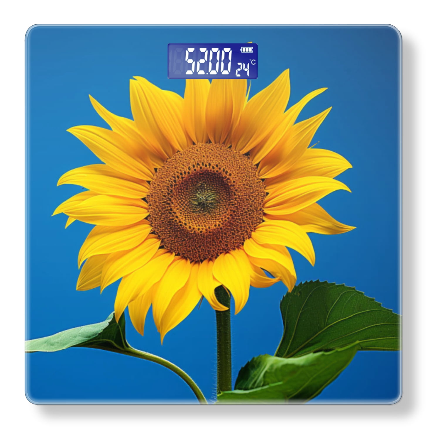 Bathroom Scale, Highly Accurate Digital Body Scale,Precisely Measures Weight up to 400 lbs-Beautiful Sunflower On Blue Background