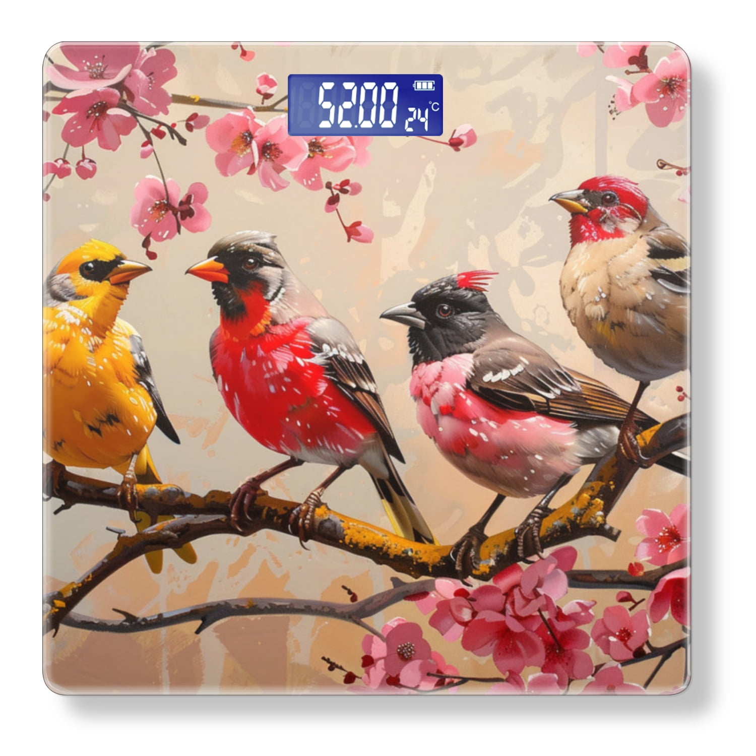 Bathroom Scale, Highly Accurate Digital Body Scale,Precisely Measures Weight up to 400 lbs-Birds Sitting On Cherry Blossom Tree Branch