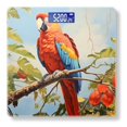 thumbnail image 1 of Bathroom Scale, Highly Accurate Digital Body Scale,Precisely Measures Weight up to 400 lbs-Macaw Parrot Perched On The Branch, 1 of 4