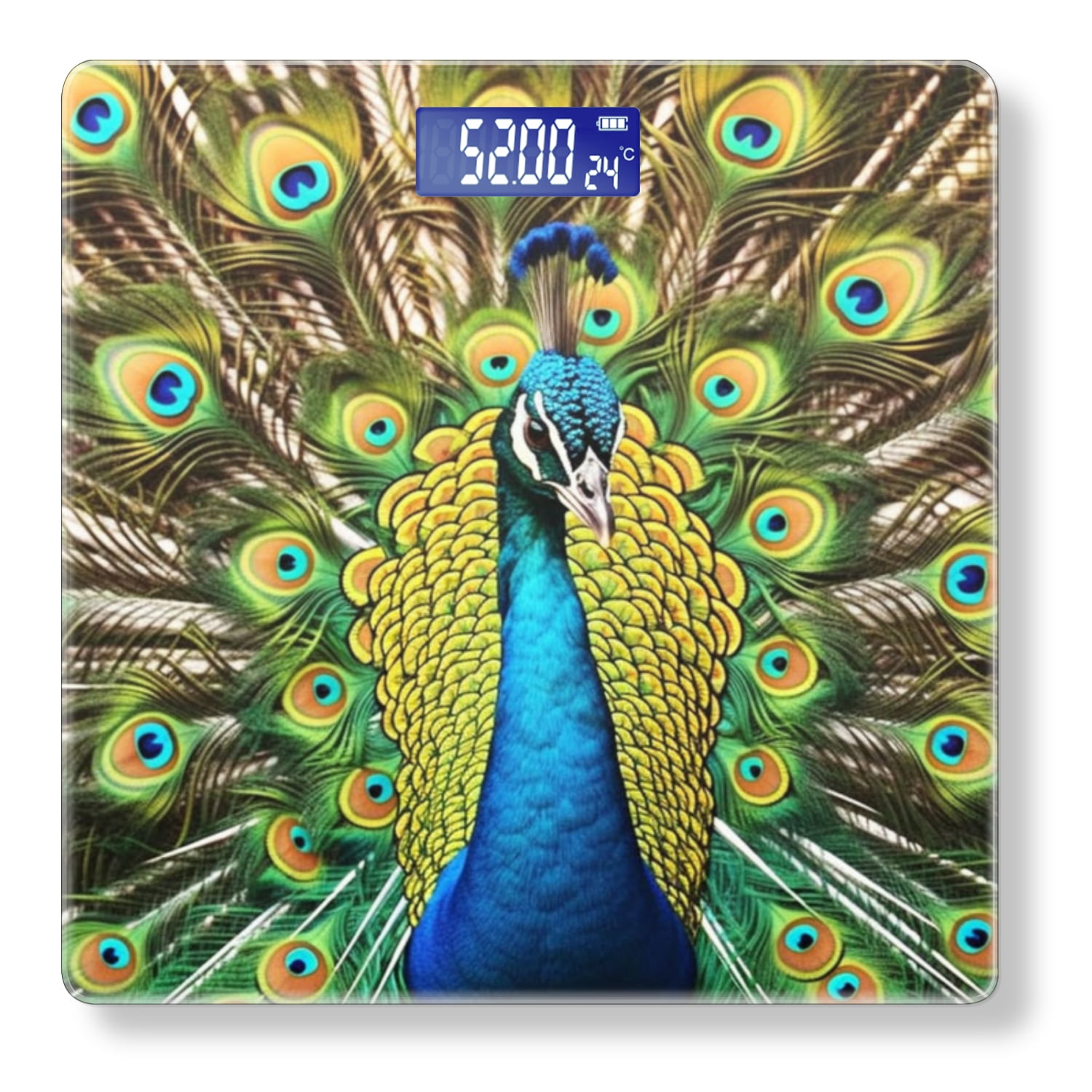 Bathroom Scale, Highly Accurate Digital Body Scale,Precisely Measures Weight up to 400 lbs-Majestic Peacock Displaying Vibrant Plumage With Feathers