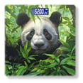 thumbnail image 1 of Bathroom Scale, Highly Accurate Digital Body Scale,Precisely Measures Weight up to 400 lbs-Panda Peering Out From Behind Lush Green Leaves, 1 of 4