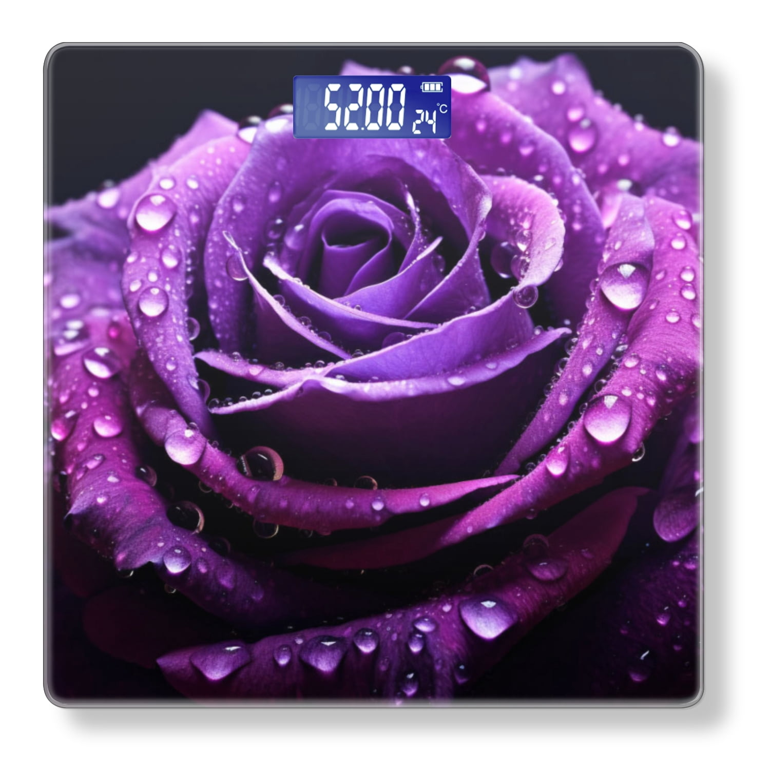 Bathroom Scale, Highly Accurate Digital Body Scale,Precisely Measures Weight up to 400 lbs-Purple Rose With Water Droplets On Petals