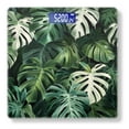 thumbnail image 1 of Bathroom Scale, Highly Accurate Digital Body Scale,Precisely Measures Weight up to 400 lbs-Seamless Pattern Of Monstera Leaves, 1 of 4