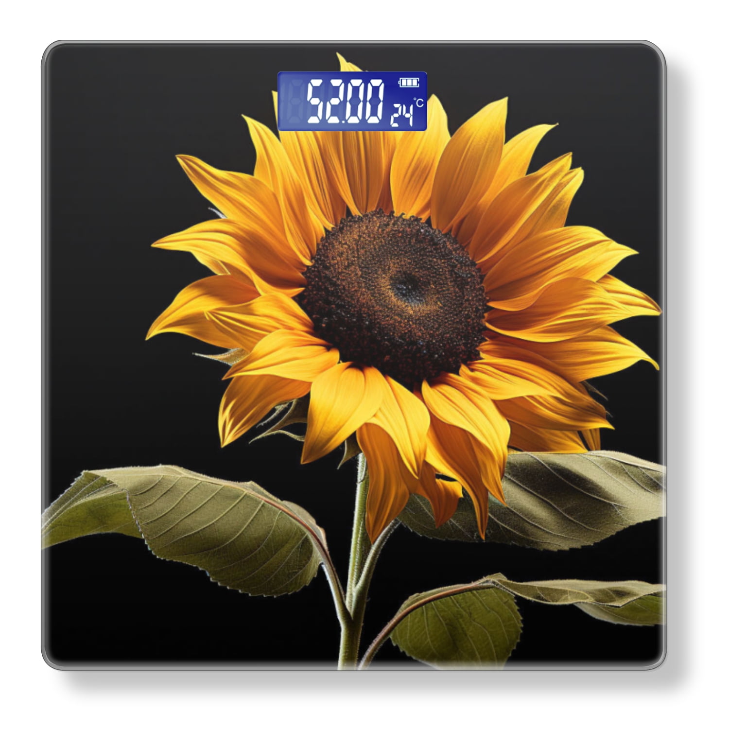 Bathroom Scale, Highly Accurate Digital Body Scale,Precisely Measures Weight up to 400 lbs-Sunflower With Leaves On Black Background