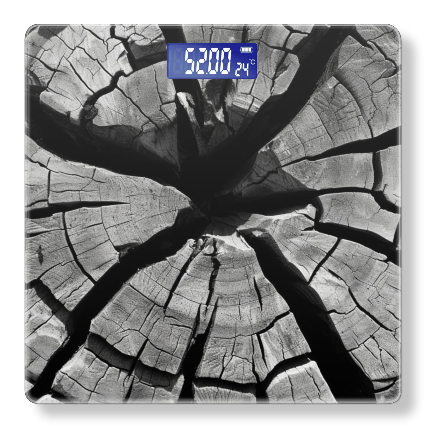 Bathroom Scale, Highly Accurate Digital Body Scale,Precisely Measures Weight up to 400 lbs-The Cross-Section Of Old Tree Trunk With Black And White