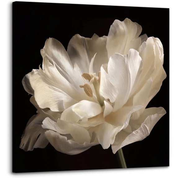 Bathroom Wall Decor Flower Canvas Wall Art Modern Wall Decor Black Background White Flower Theme Painting Picture Artwork Wood Framed Wall Art Easy to Hang Size 14X14in
