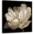 thumbnail image 1 of Bathroom Wall Decor Flower Canvas Wall Art Modern Gallery Wall Decor Print White daisy Flower in Bottle Theme Picture Artwork for Walls Ready to Hang for Kitchen Bedroom Decor Size 14x14, 1 of 6