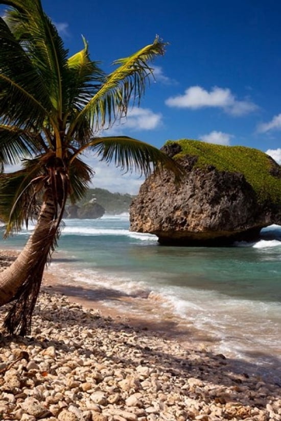 Bathsheba Rock Barbados West Indies Canvas Art - Brian Jannsen DanitaDelimont (18 x 24)