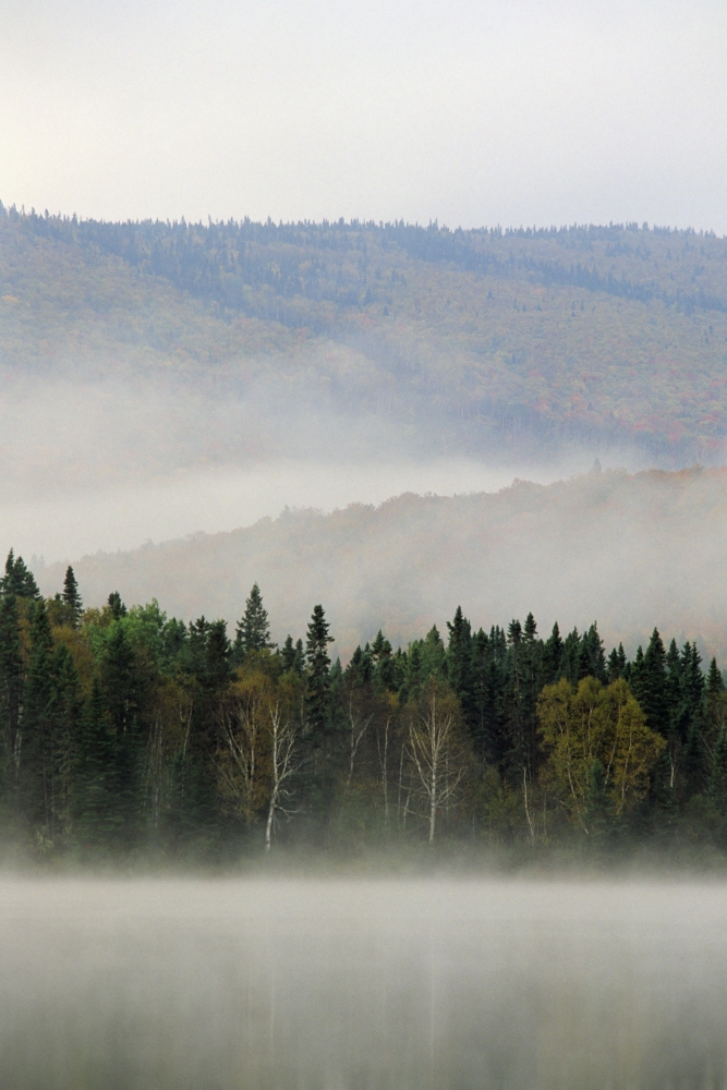 Bathurst Lake Mount Carleton Provincial Park New Brunswick Canvas Art - Ron Watts Design Pics (22 x 34)