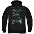 thumbnail image 1 of Batman Arkham Origins - Perched Cat - Pull-Over Hoodie - XXXXX-Large, 1 of 2