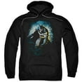 thumbnail image 1 of Batman - Bat Cave - Pull-Over Hoodie - Large, 1 of 2