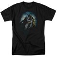 thumbnail image 1 of Trevco BM1891-AT-9 Batman & Bat Cave Adult Regular Fit Cotton Short Sleeve 18-1 T-Shirt, Black - 6X, 1 of 2