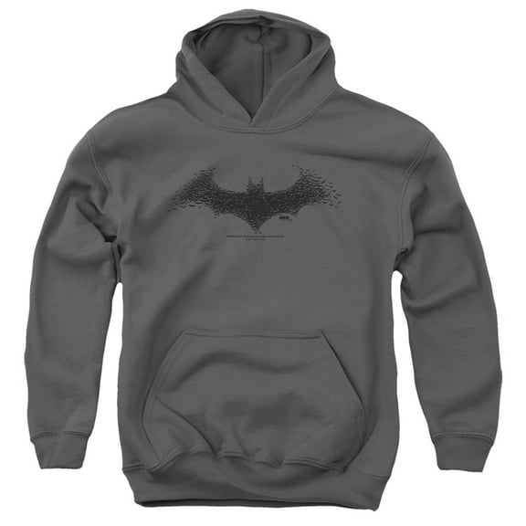 Batman Bat Logo 1 Kids Pull-Over Hoodie (Large) for Youth Boys and Girls, Charcoal