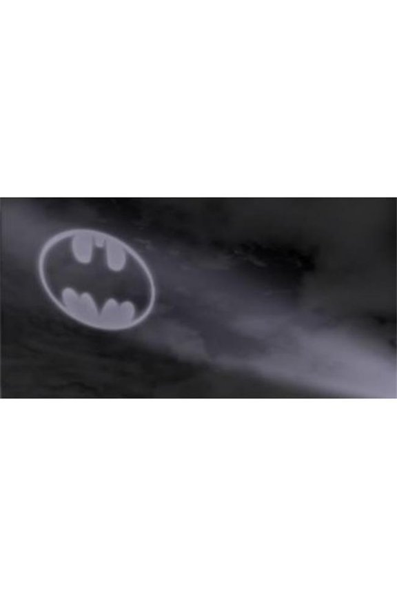 Batman Bat Signal Photo License Plate