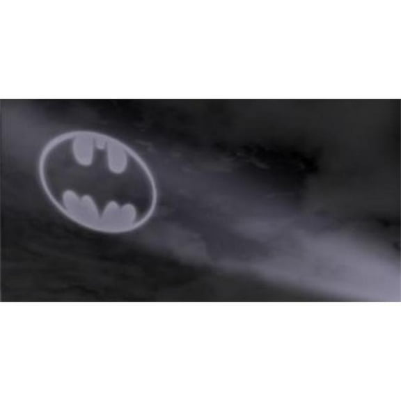 Batman Bat Signal Photo License Plate