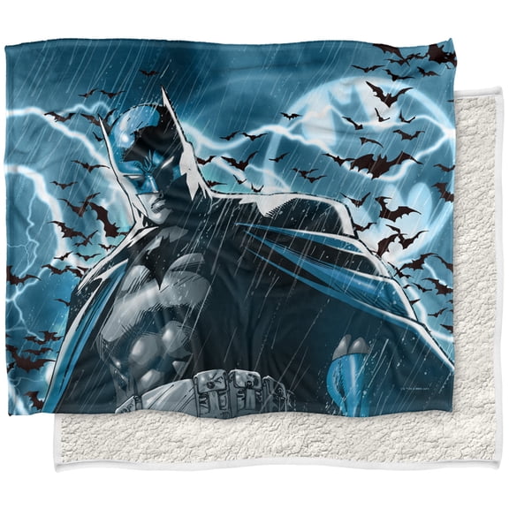 Batman Blanket, 50"x60", Stormy Knight Close Up Silky Touch Sherpa Back Super Soft Throw Blanket